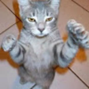 Meet your Posher, Eartic